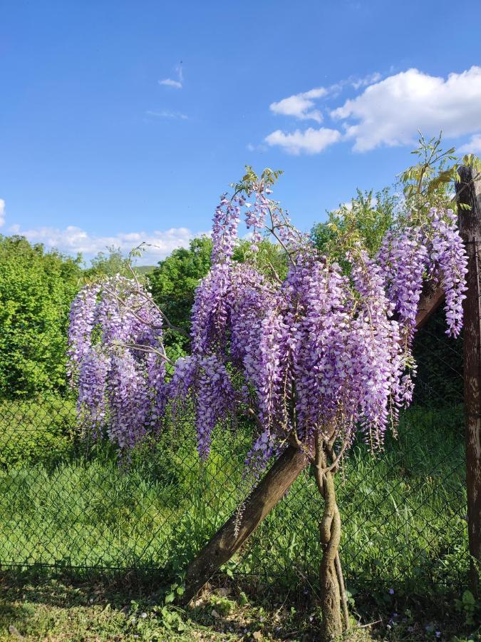 Podere Verdi Colline Poppi Exterior photo
